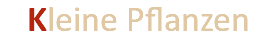 &nbsp;Kleine Pflanzen