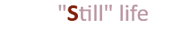 &nbsp;"Still" life