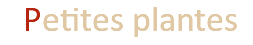 &nbsp;Petites plantes