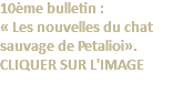 10ème bulletin : « Les nouvelles du chat sauvage de Petalioi». CLIQUER SUR L'IMAGE 